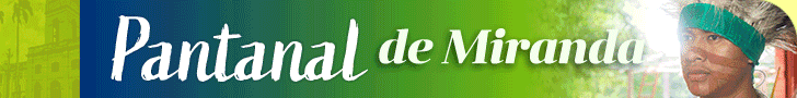 spot_img