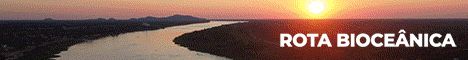 spot_img
