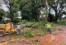 Prefeitura mobiliza equipes para limpar e desobstruir vias após chuva forte