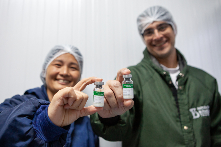 Vacina brasileira contra dengue será aplicada em dose única