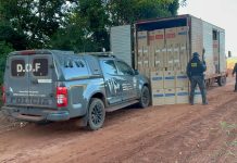 DOF recupera caminhão furtado com carga de cigarros