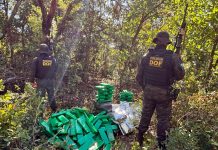 DOF apreende quase 300 kg de drogas em Amambai