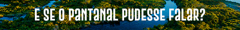 spot_img