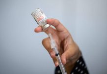 Fiocruz avança em vacina mais completa contra a malária