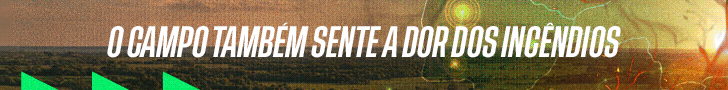 spot_img