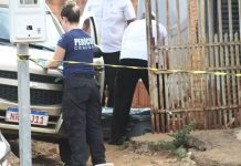 MS registra recorde de feminicídios em agosto