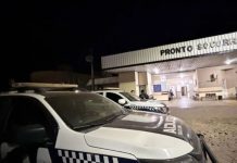 Atropelamento termina em morte e motorista deixa cena para trás